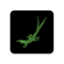 LIZARD-1.webp
